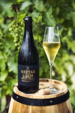 Nectar Sekt 2021, české zemské víno - perlivé