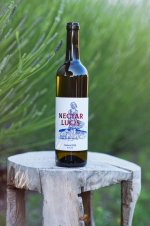 Solaris 2023, české zemské víno