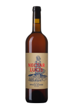 Pinot Blanc Special kvevri 2023, české zemské víno