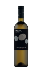 Veltlínské zelené (Slunný vrch) 2022