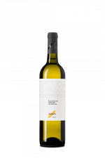 Rulandské šedé 2024