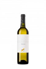 Tramín červený 2024