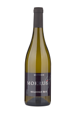 Rulandské šedé 2024, pozdní sběr