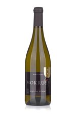 Ryzlink rýnský 2024, voc