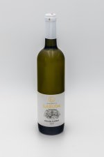 Ryzlink vlašský 2023