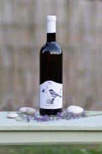 Ryzlink rýnský 2023