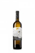 Tramín červený (Terroir) 2023