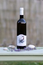 Tramín červený 2023