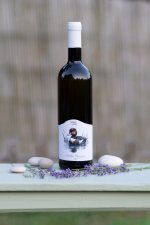 Müller Thurgau 2023