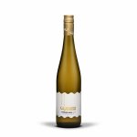 Veltlínské zelené 2023, pozdní sběr