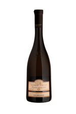 Ryzlink vlašský 2022