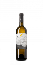 Sauvignon Terroir 2022