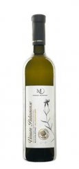Ryzlink rýnský Vinum Palaviense 2021