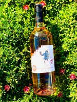 Zweigeltrebe rose 2023