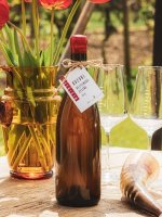 Veltlínské zelené KVEVRI 2019