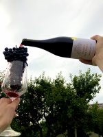 Cabernet Moravia 2021