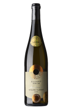 Ryzlink vlašský 2022