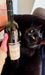 Ryzlink rýnský 2021