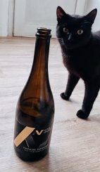 Sekt Pinot blanc - Chardonnay brut 2021