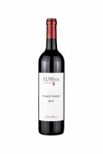 Rulandské modré 2019, výběr z hroznů