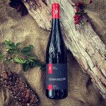 Dornfelder 2019, zemské víno (suché), Víno Přistál