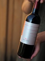 Alibernet 2015, zemské víno (suché), Vinařství Měřínský