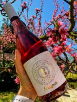 Zweigeltrebe rosé FRIZZANTE 2019