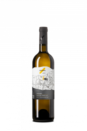 Lahev vína Chardonnay (Terroir) 2023, pozdní sběr (suché)