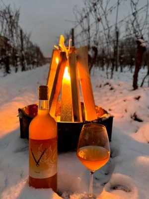 Lahev vína Fénix 2024, moravské zemské víno (suché)