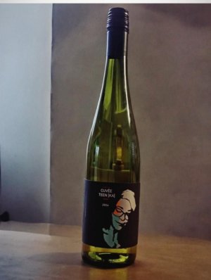 Lahev vína Cuvēe Teen-ka 2024, moravské zemské víno (suché)