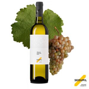 Lahev vína Hibernal 2024, pozdní sběr (suché)