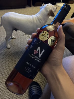 Lahev vína Merlot Rosé 2023, výběr z hroznů (polosladké)