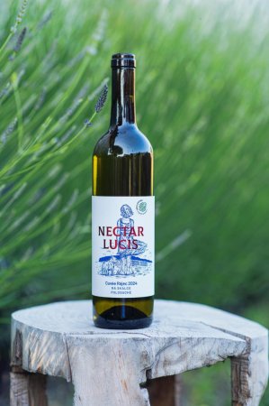 Lahev vína Cuvée Rájec 2024, české zemské víno (polosuché)