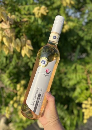 Lahev vína Bílá Frankovka VOC Modré hory 2024, voc (suché)