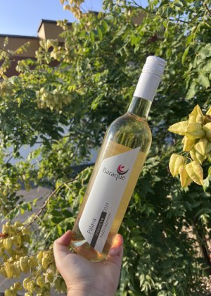 Lahev vína Pálava 2024, výběr z hroznů (polosuché)