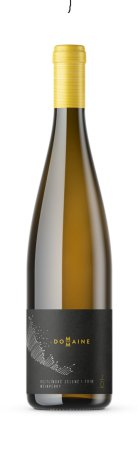 Lahev vína Veltlínské zelené I beton 2018, moravské zemské víno (suché)