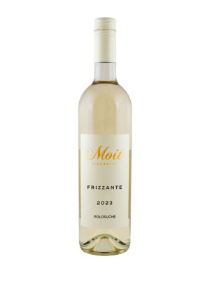 Lahev vína Frizzante 2023, zemské víno - perlivé (demi-sec)
