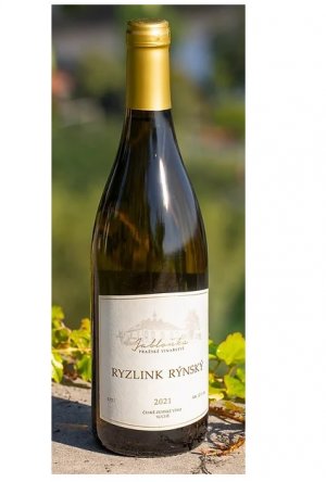 Lahev vína Ryzlink rýnský 2021, zemské víno (suché)