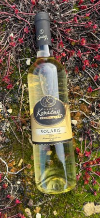 Lahev vína Solaris 2024, moravské zemské víno (sladké)