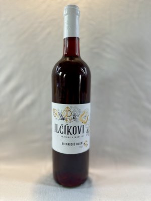 Lahev vína Rulandské modré 2023, moravské zemské víno (suché)