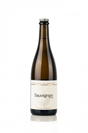 Lahev vína Sauvignon, Pét-Nat 2024, perlivé víno (suché)