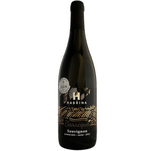 Lahev vína Sauvignon 2022, pozdní sběr (suché)