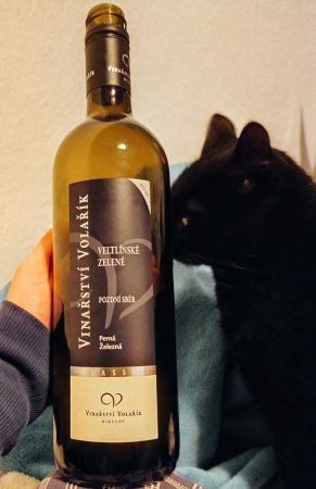 Lahev vína Veltlínské zelené 2023, pozdní sběr (suché)