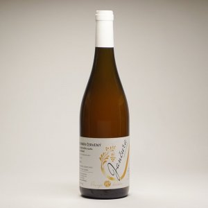 Lahev vína Tramín červený 2022, zemské víno (suché)