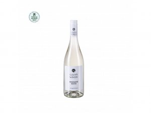 Lahev vína Frizzante white 2022, zemské víno (polosladké)