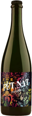 Lahev vína Pét-nat Pinot blanc 2022, zemské víno - perlivé (suché)