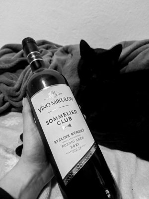 Lahev vína Ryzlink rýnský (Sommelier Club) 2021, pozdní sběr (suché)