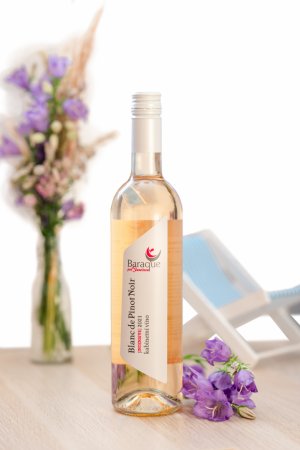 Lahev vína Blanc de Pinot Noir 2021, kabinetní víno (suché)