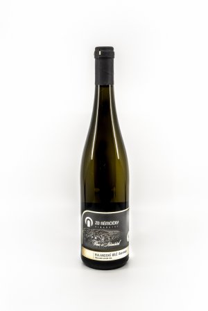 Lahev vína Rulandské bílé 2020, zemské víno (suché)