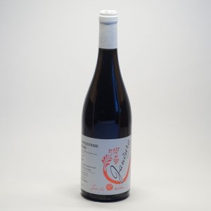 Lahev vína Zweigeltrebe blend 2019, zemské víno (suché)